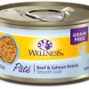 Cat Wellness Wet Food | Wellness Complete Health Grain Free Natural Beef And Salmon Recipe Canned Cat Food