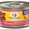 Cat Wellness Wet Food | Wellness Grain Free Natural Minced Salmon Dinner Wet Canned Cat Food