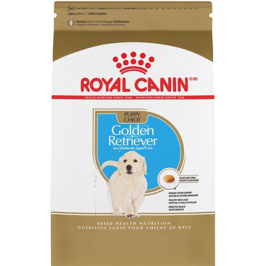 Dog Royal Canin | Royal Canin Breed Health Nutrition Golden Retriever Puppy Dry Dog Food