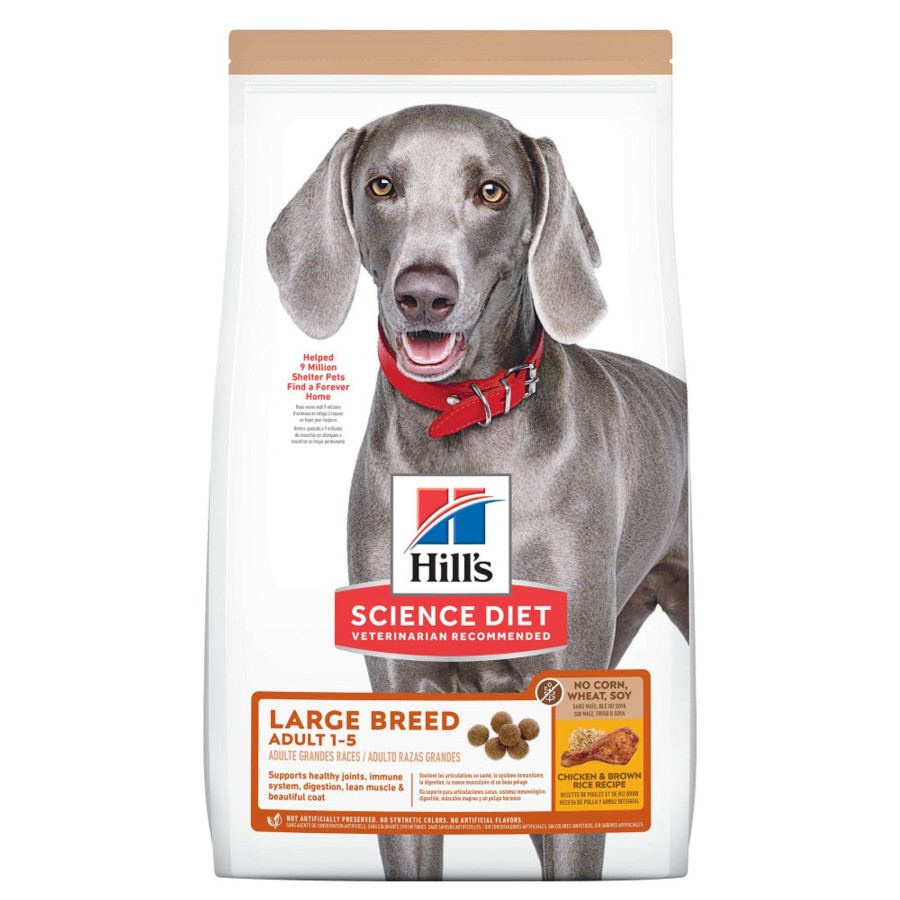 Dog Hill's Science Diet Dry Food | Hill'S Science Diet Adult Large Breed No Corn, Wheat, Or Soy Chicken & Brown Rice Recipe Dry Dog Food