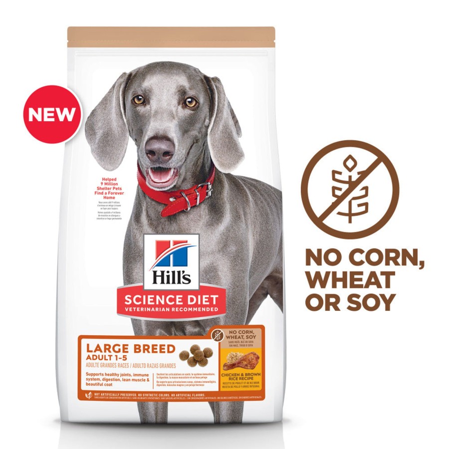 Dog Hill's Science Diet Dry Food | Hill'S Science Diet Adult Large Breed No Corn, Wheat, Or Soy Chicken & Brown Rice Recipe Dry Dog Food