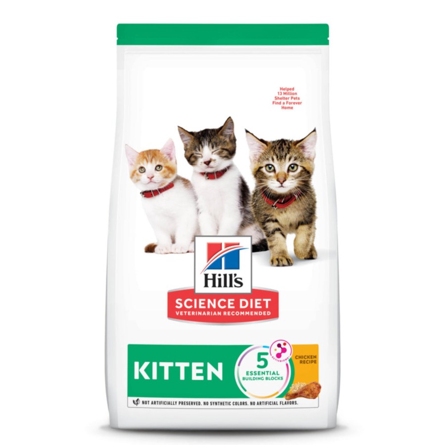 Cat Hill's Science Diet Dry Food | Hill'S Science Diet Kitten Chicken Recipe Dry Cat Food