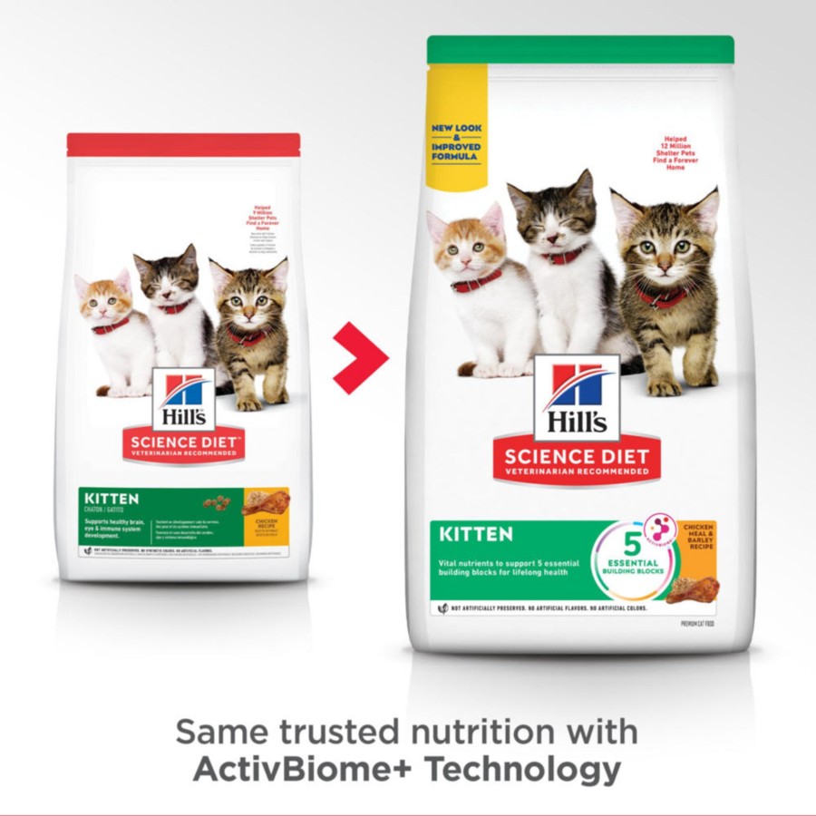 Cat Hill's Science Diet Dry Food | Hill'S Science Diet Kitten Chicken Recipe Dry Cat Food