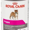 Dog Royal Canin | Royal Canin Canine Health Nutrition Puppy Canned Dog Food