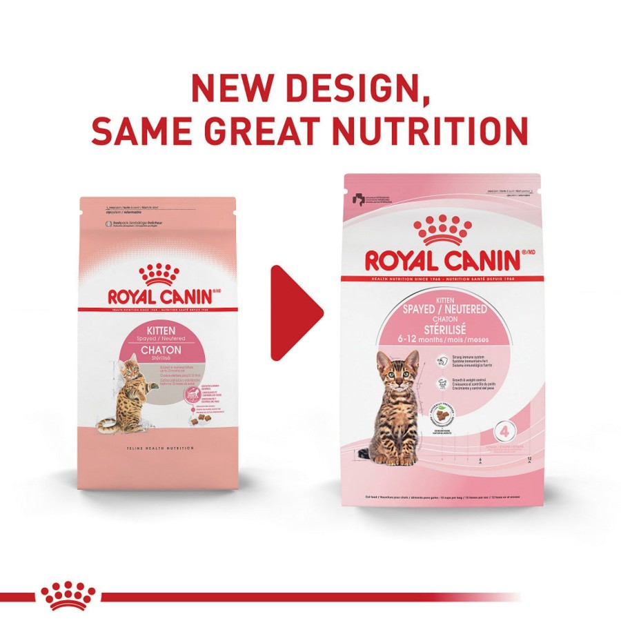 Cat Royal Canin Dry Food | Royal Canin Spayed Or Neutered Dry Kitten Food