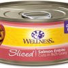 Cat Wellness Wet Food | Wellness Grain Free Natural Sliced Salmon Entree Wet Canned Cat Food