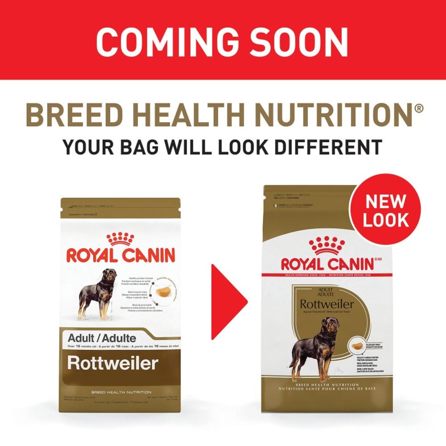 Dog Royal Canin | Royal Canin Breed Health Nutrition Rottweiler Adult Dry Dog Food