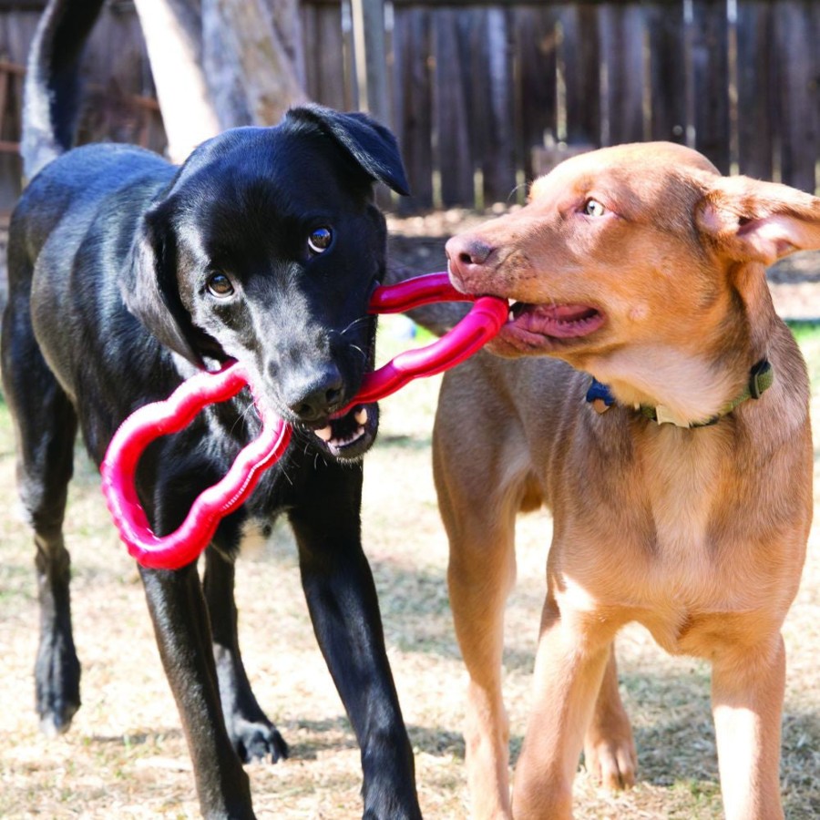 Dog KONG | Kong Tug Dog Toy