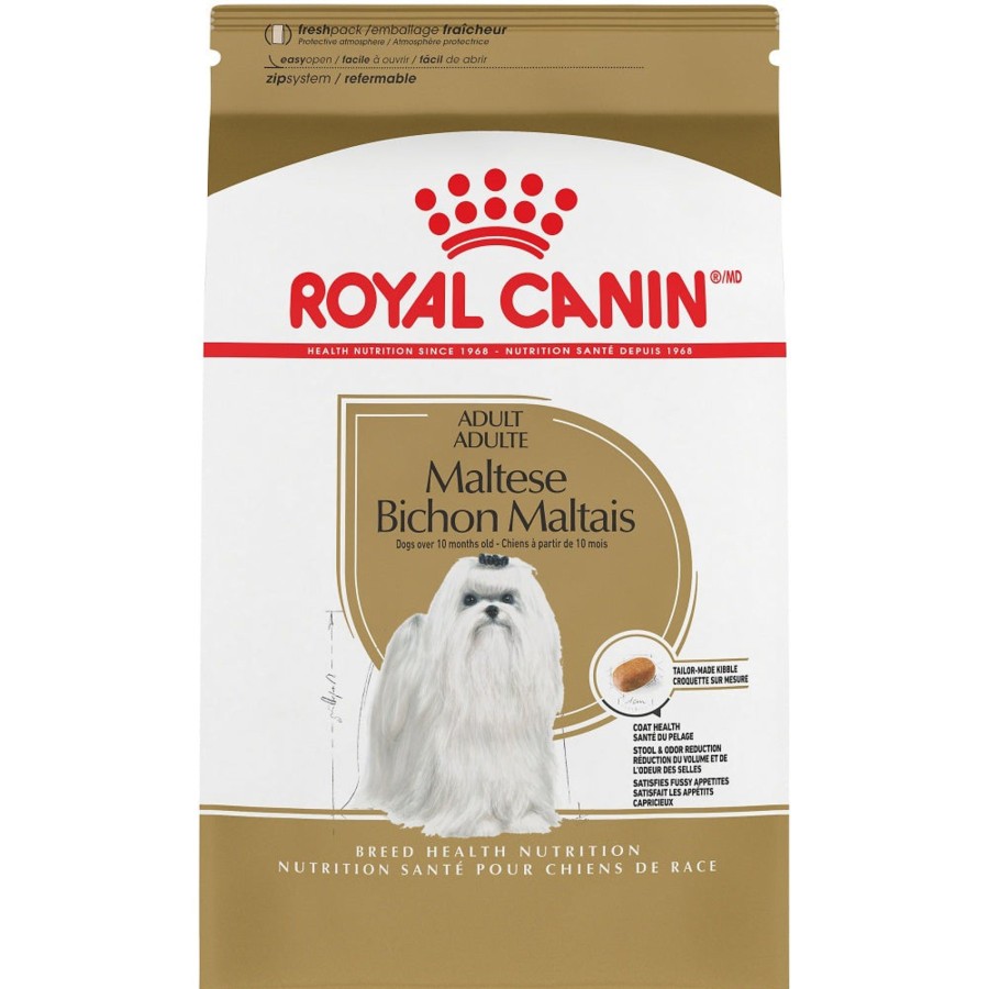 Dog Royal Canin | Royal Canin Breed Health Nutrition Adult Maltese Dry Dog Food