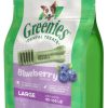 Dog Greenies | Greenies Large Blueberry Dental Dog Chews