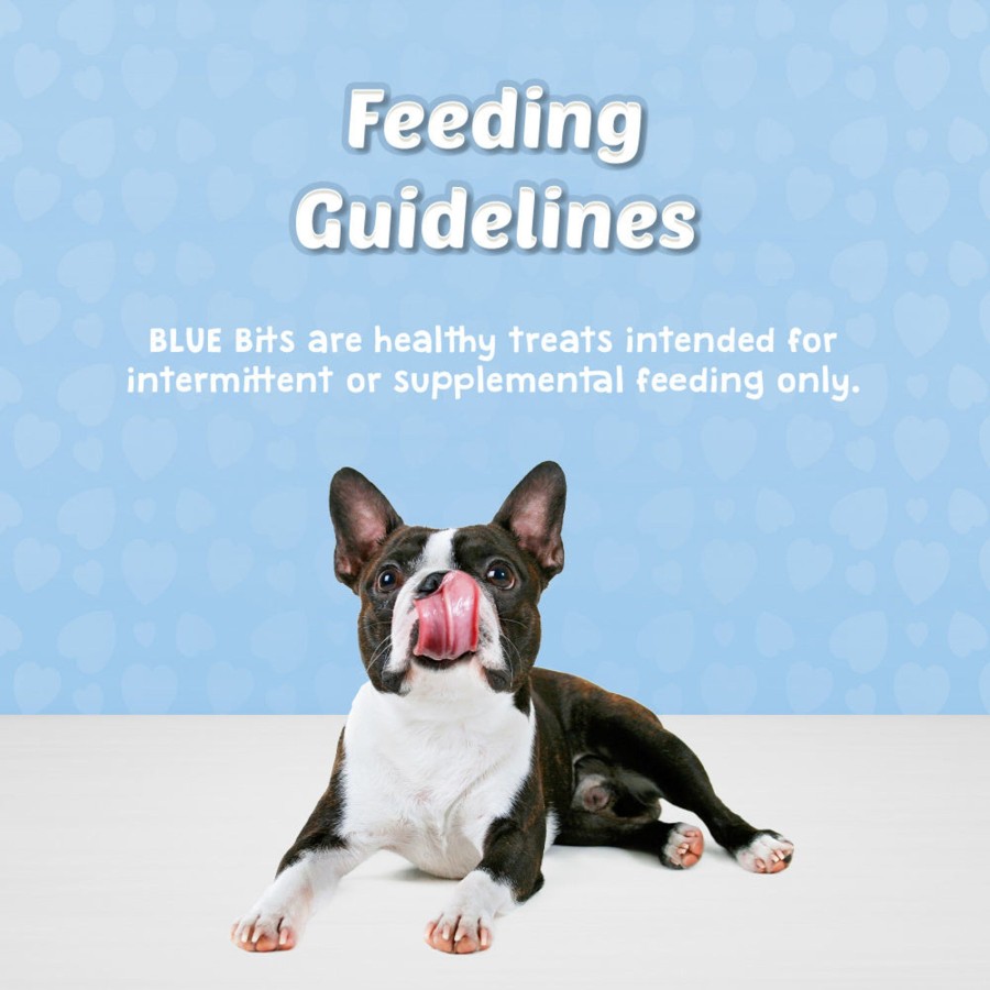 Dog Blue Buffalo | Blue Buffalo Bits Tempting Turkey Natural Soft-Moist Training Treats