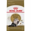 Cat Royal Canin Dry Food | Royal Canin Feline Breed Nutrition Persian Dry Cat Food