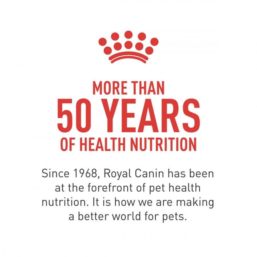 Cat Royal Canin Dry Food | Royal Canin Feline Breed Nutrition Persian Dry Cat Food