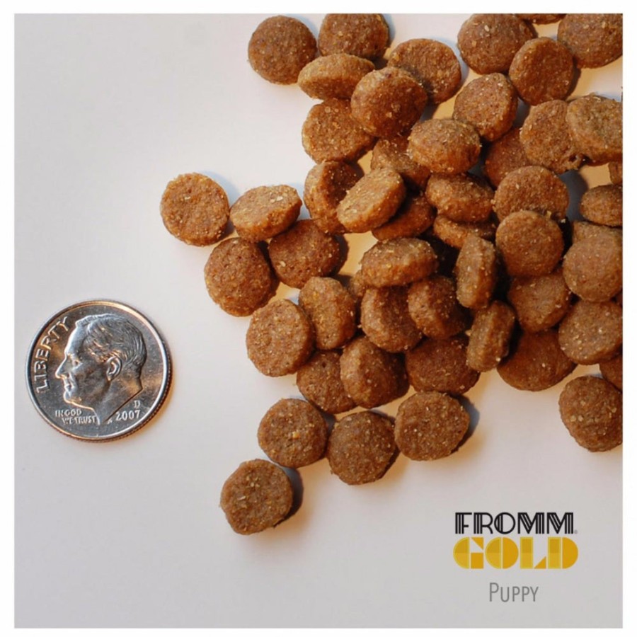 Dog Fromm Dry Food | Fromm Gold Puppy Formula Dry Dog Food