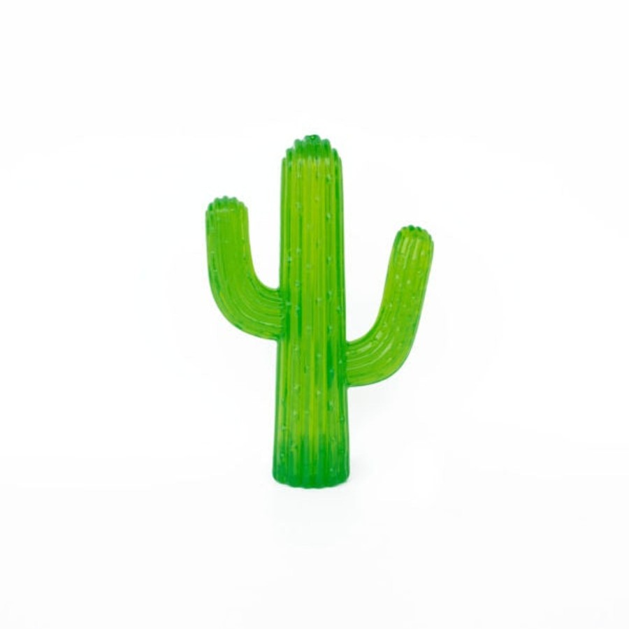 Dog ZippyPaws | Zippypaws Zippy Tuff Cactus Dog Toy