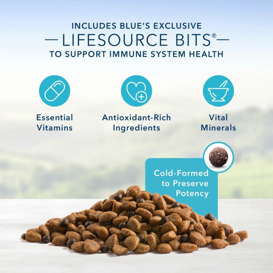 Dog Blue Buffalo | Blue Buffalo Life Protection Formula Adult Lamb & Brown Rice Recipe Dry Dog Food