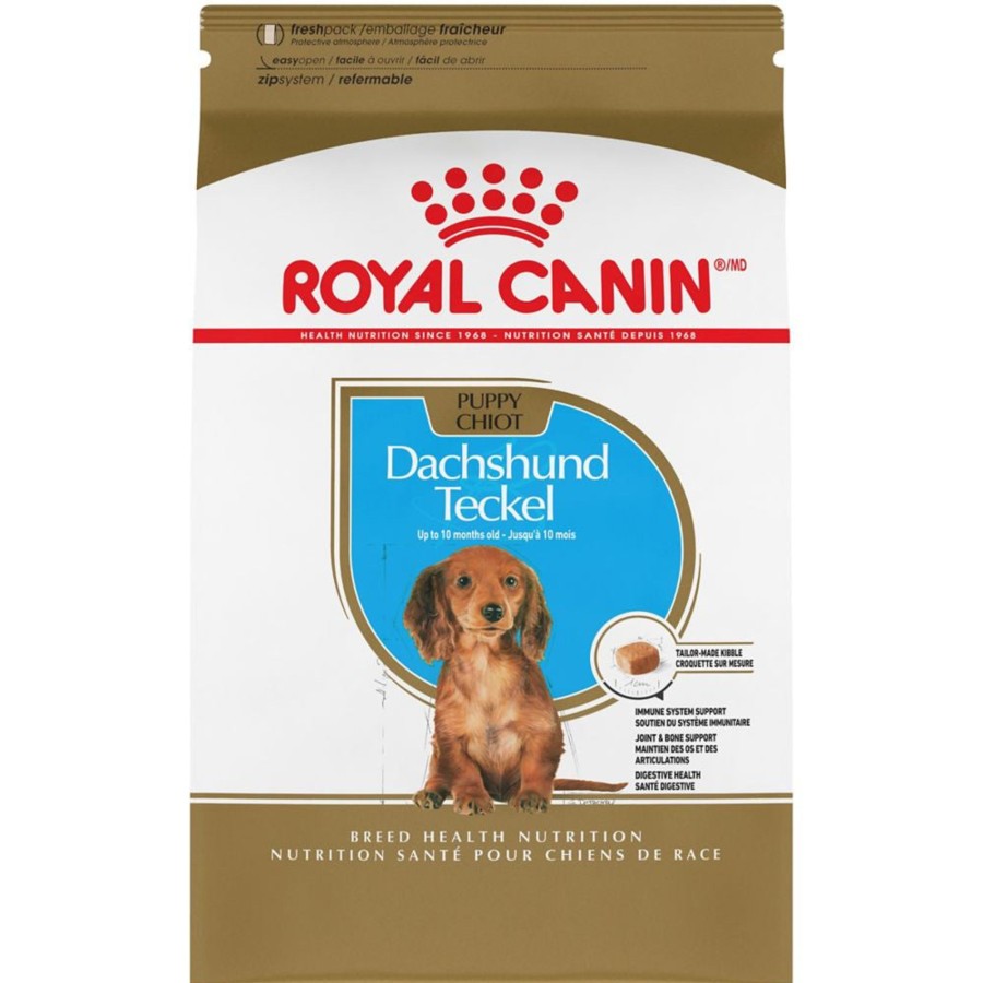 Dog Royal Canin | Royal Canin Breed Health Nutrition Dachshund Puppy Dry Dog Food