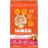 Cat IAMS Dry Food | Iams Proactive Health Original With Salmon And Tuna Dry Cat Food