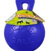 Dog Jolly Pets | Jolly Pets Tug N Toss Ball Dog Toy