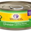 Cat Wellness Wet Food | Wellness Natural Grain Free Gravies Turkey Dinner Canned Cat Food