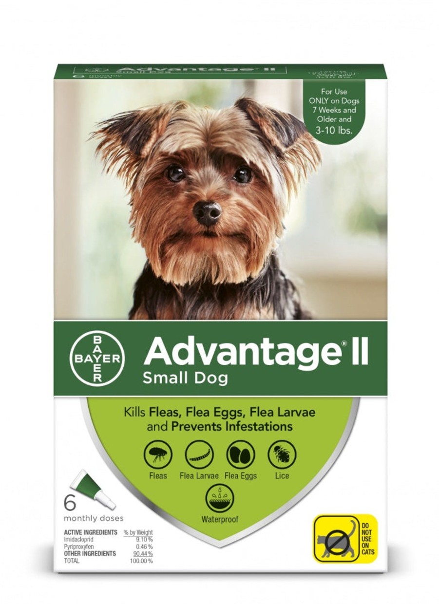 Dog Advantage II | Elanco Advantage Ii Small Dog