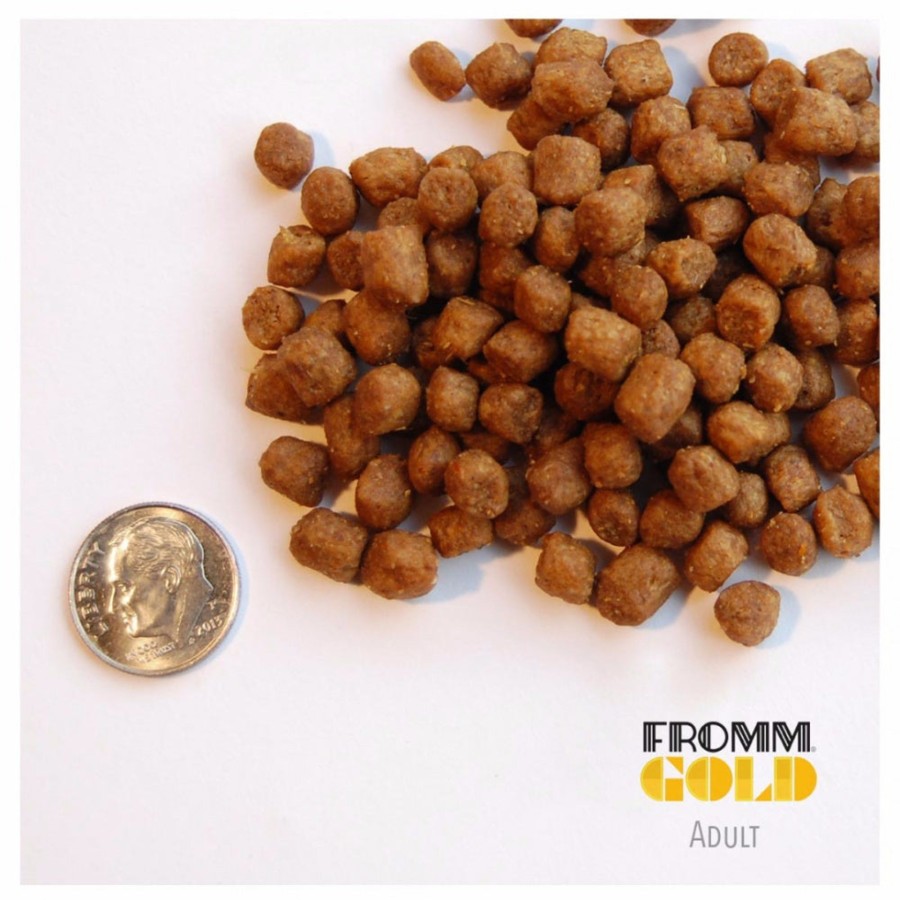 Cat Fromm Dry Food | Fromm Adult Gold Dry Cat Food