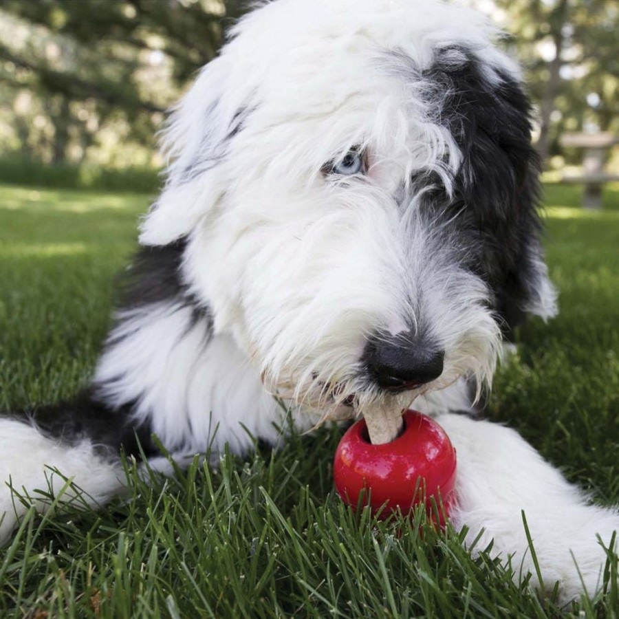 Dog KONG | Kong Ziggies Dog Treats