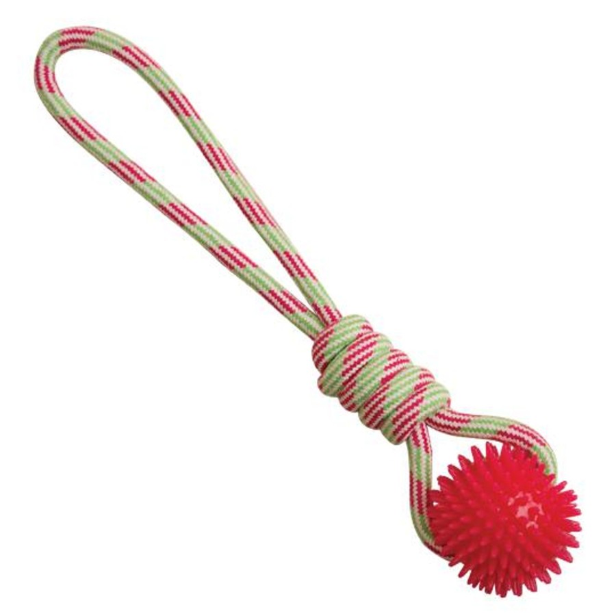 Dog Snugarooz Pet | Snugarooz Spike-O-Mite Rope Dog Toy