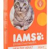 Cat IAMS Dry Food | Iams Proactive Health Adult Original Chicken Recipe Dry Cat Food