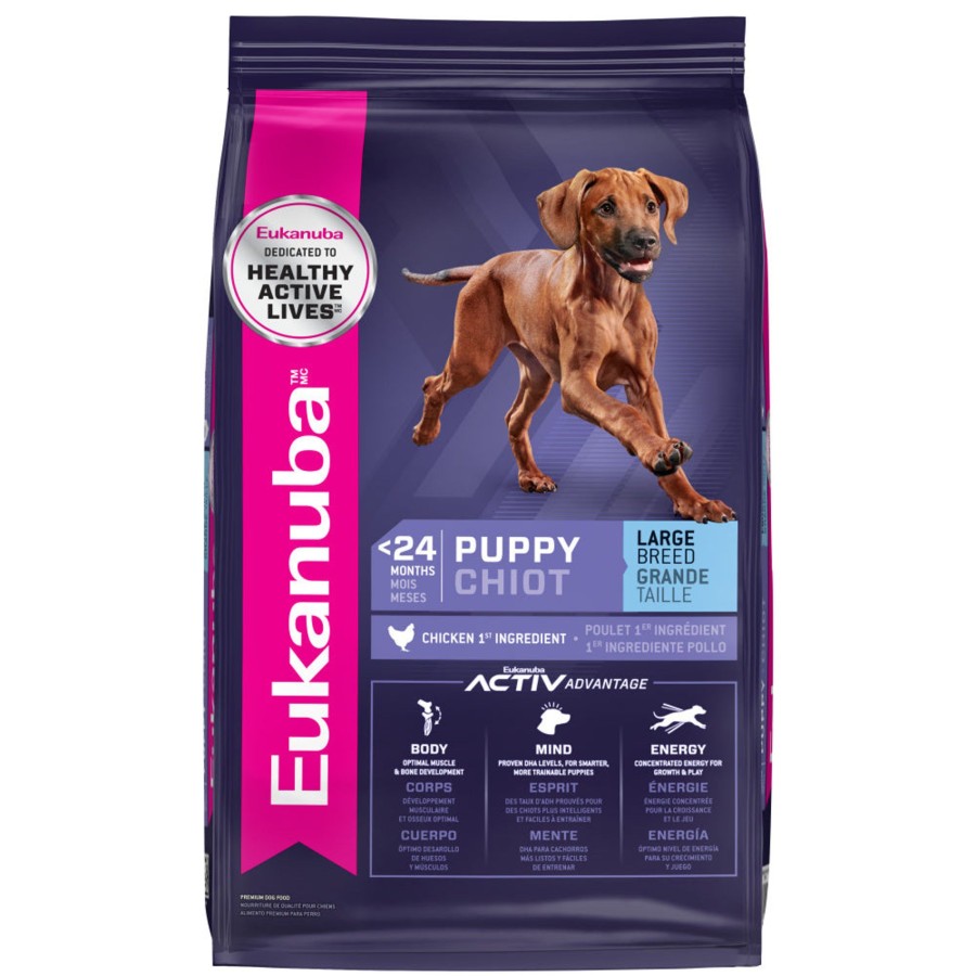 Dog EUKANUBA Dry Food | Large Breed Puppy Chicken Formula Dry Dog Food