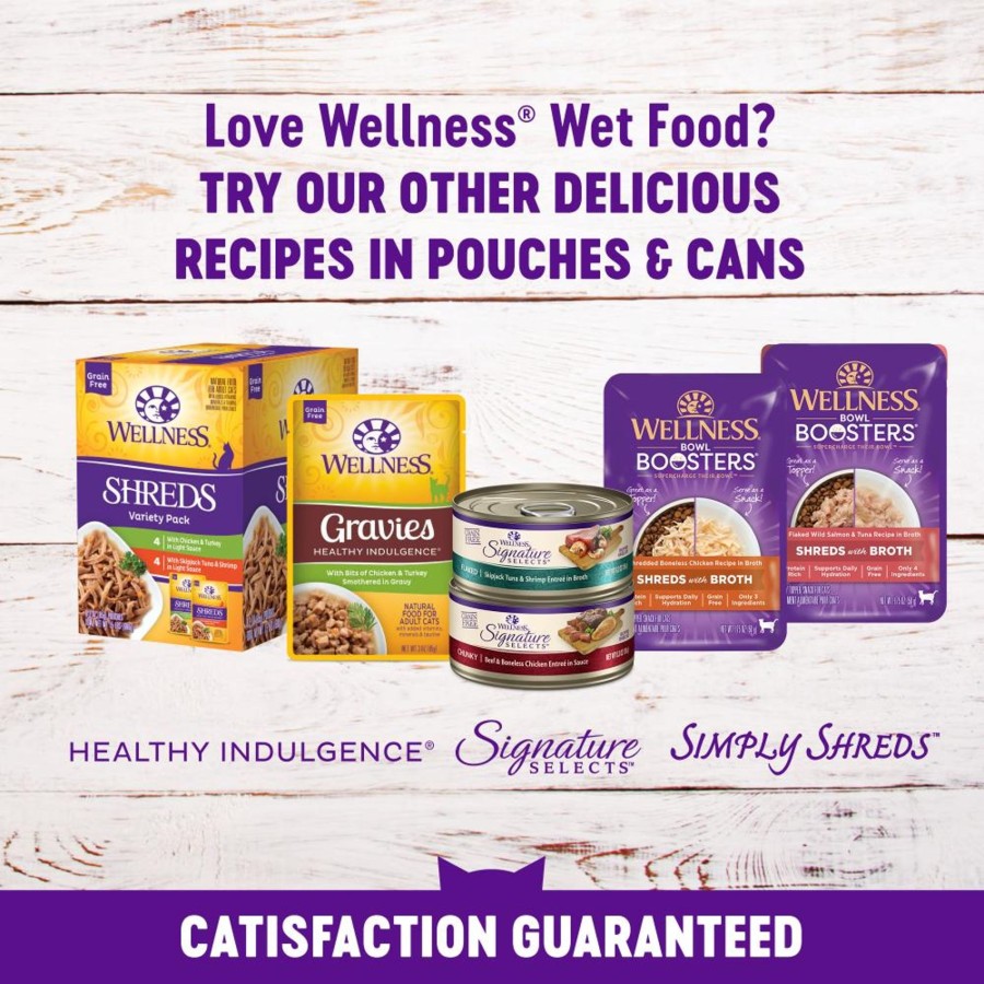 Cat Wellness Wet Food | Wellness Healthy Indulgence Natural Grain Free Gravies With Chicken And Turkey In Gravy Cat Food Pouch