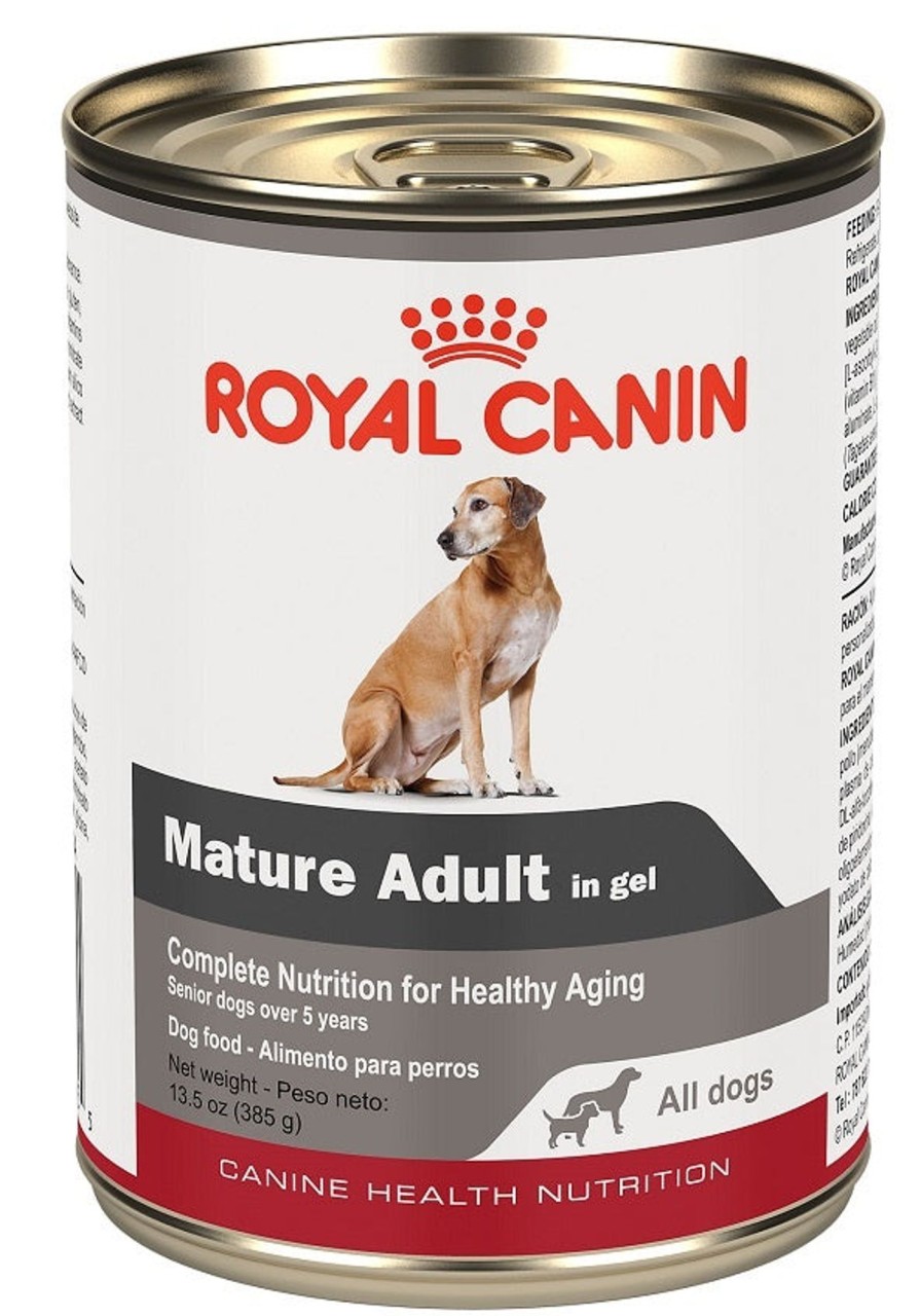 Dog Royal Canin Wet Food | Royal Canin Canine Health Nutrition Mature Adult Canned Dog Food