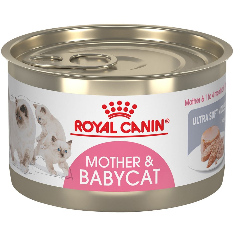 Cat Royal Canin Wet Food | Royal Canin Feline Health Nutrition Mother & Babycat Ultra Soft Mousse In Sauce Canned Cat Food