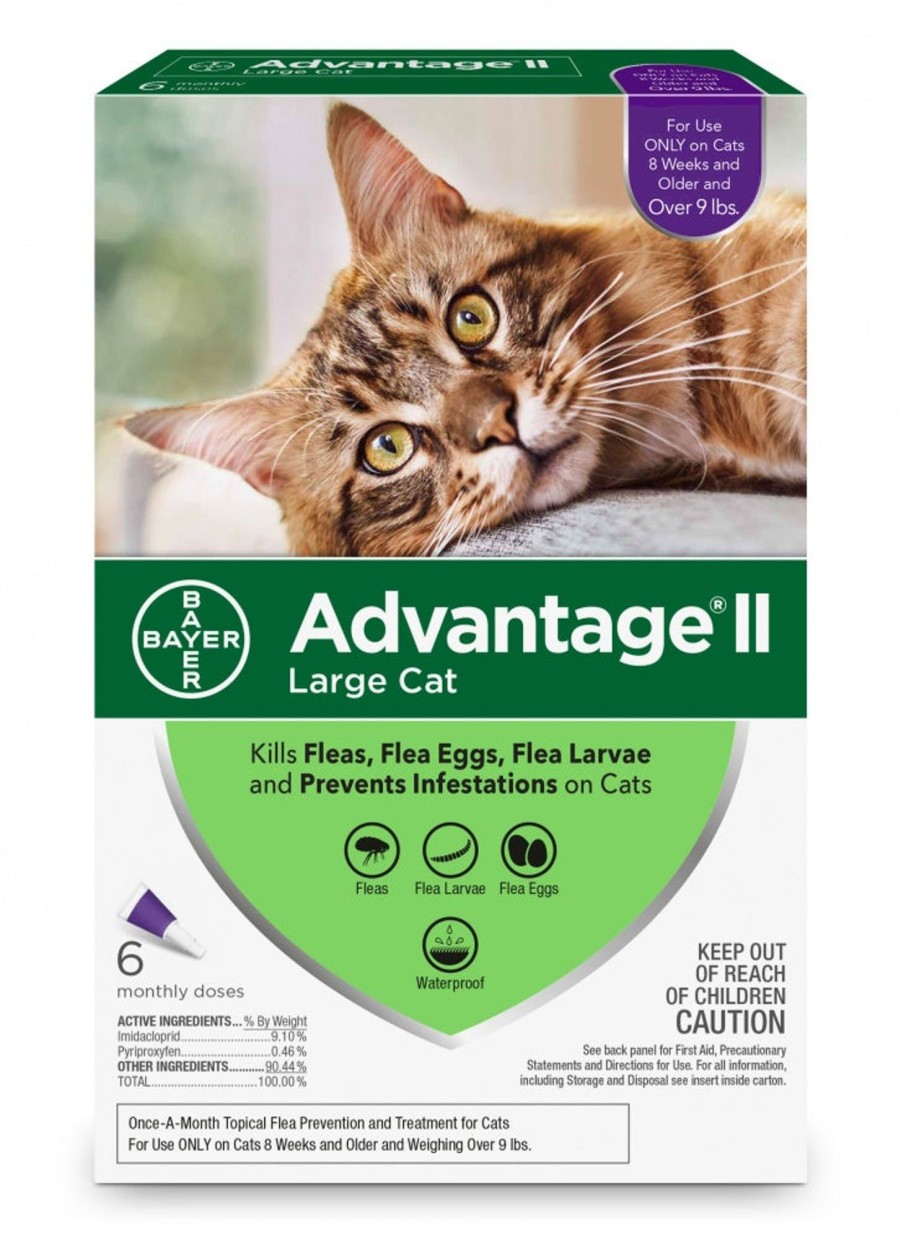 Cat Advantage II | Elanco Advantage Ii Large Cat