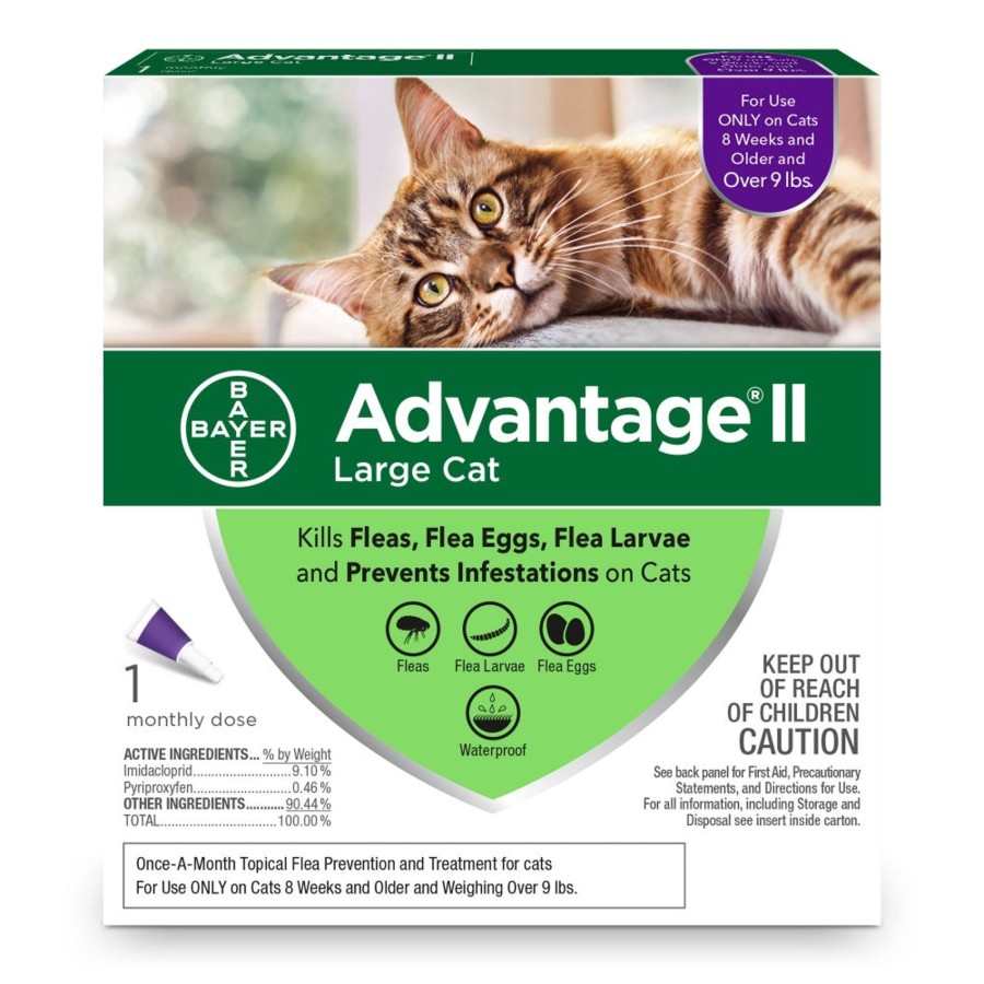 Cat Advantage II | Elanco Advantage Ii Large Cat