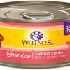 Cat Wellness Wet Food | Wellness Natural Grain Free Gravies Salmon Dinner Canned Cat Food