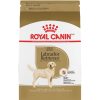 Dog Royal Canin | Royal Canin Breed Health Nutrition Labrador Retriever Adult Dry Dog Food