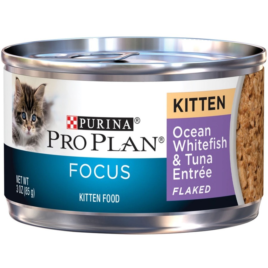 Cat Purina Pro Plan Wet Food | Purina Pro Plan Focus Kitten Ocean Whitefish And Tuna Entree Flaked Canned Cat Food