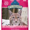 Cat Blue Buffalo Dry Food | Blue Buffalo Wilderness High-Protein Grain-Free Adult Salmon Recipe Dry Cat Food