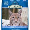 Cat Blue Buffalo Dry Food | Blue Buffalo Wilderness High-Protein Grain-Free Indoor Adult Chicken Recipe Dry Cat Food