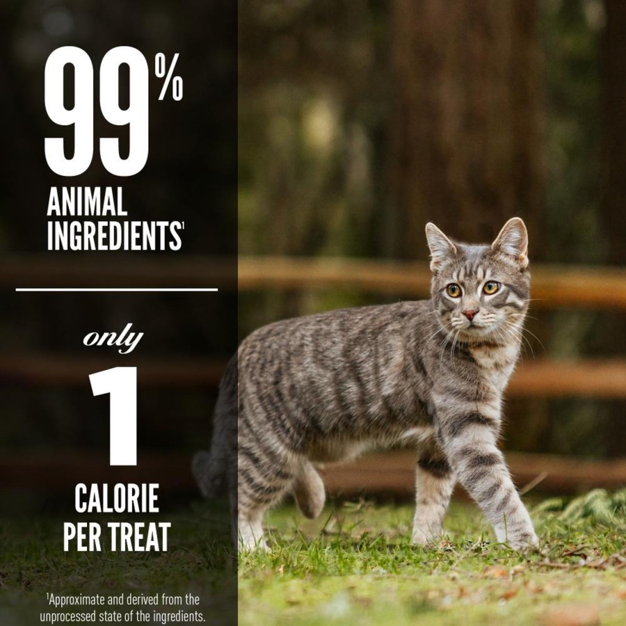 Cat ORIJEN | Orijen Freeze Dried Grass Fed Lamb Cat Treats