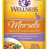 Cat Wellness Wet Food | Wellness Healthy Indulgence Natural Grain Free Morsels With Chicken And Chicken Liver In Savory Sauce Cat Food Pouch