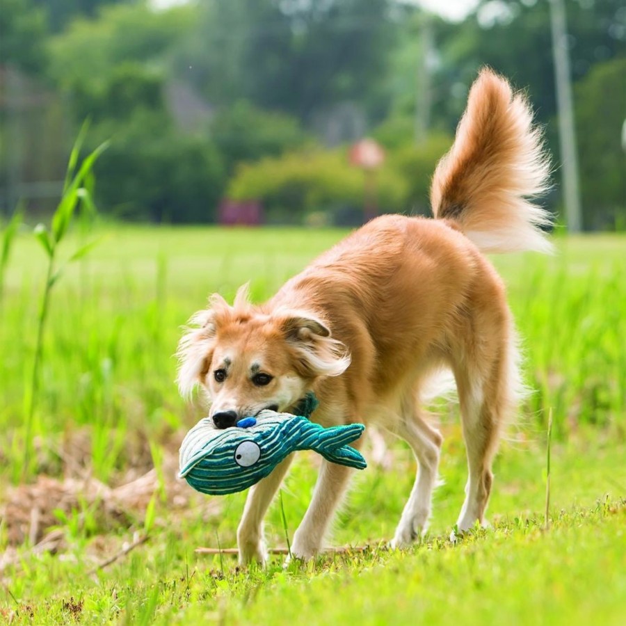 Dog KONG | Kong Cuteseas Whale Crinkle Dog Toy