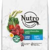 Dog Nutro Dry Food | Nutro Wholesome Essentials Large Breed Puppy Pasture-Fed Lamb & Rice Dry Dog Food