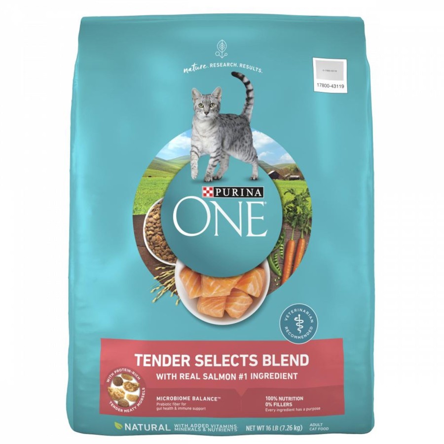 Cat Purina ONE Dry Food | Purina One Tender Selects Blend Real Salmon Dry Cat Food