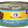 Cat Wellness Wet Food | Wellness Grain Free Natural Tuna Morsels Recipe Wet Canned Cat Food