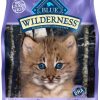 Cat Blue Buffalo Dry Food | Blue Buffalo Wilderness Kitten High-Protein Grain-Free Chicken Recipe Dry Cat Food