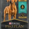 Dog Purina Pro Plan Dry Food | Purina Pro Plan Puppy Large Breed Chicken & Rice Formula