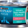 Cat Purina Pro Plan Wet Food | Purina Pro Plan Focus Urinary Tract Health Salmon Recipe Canned Cat Food