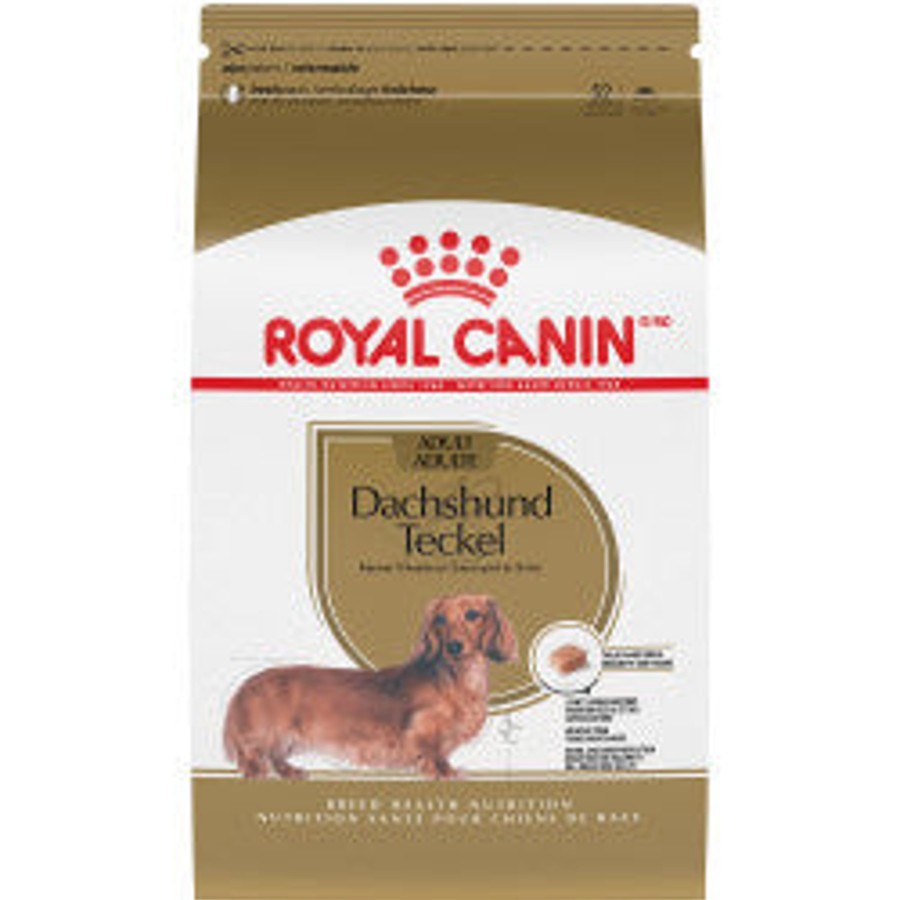 Dog Royal Canin | Royal Canin Breed Health Nutrition Dachshund Adult Dry Dog Food